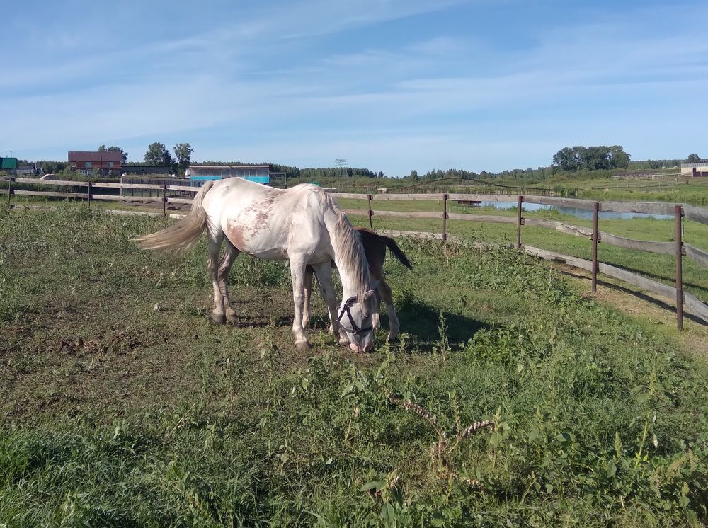 Photograph by Лида