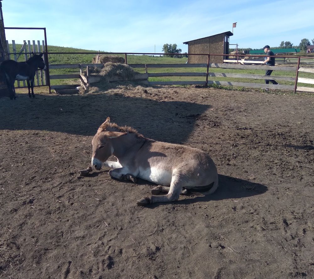 Photograph by Лида