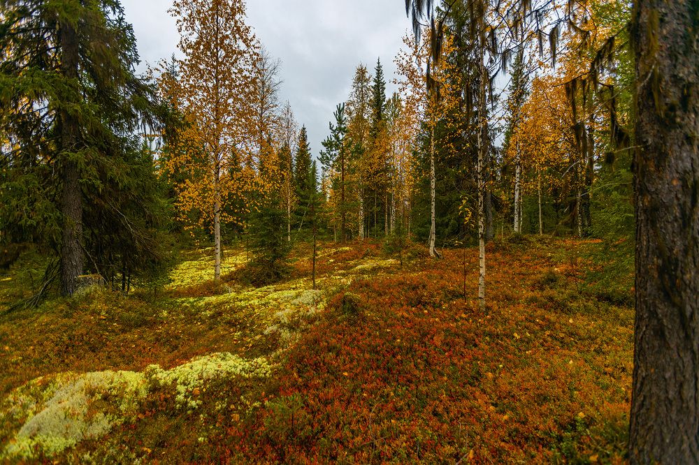 Photograph by  Толяныч-