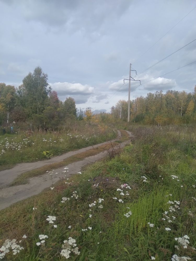 Photograph by Лида