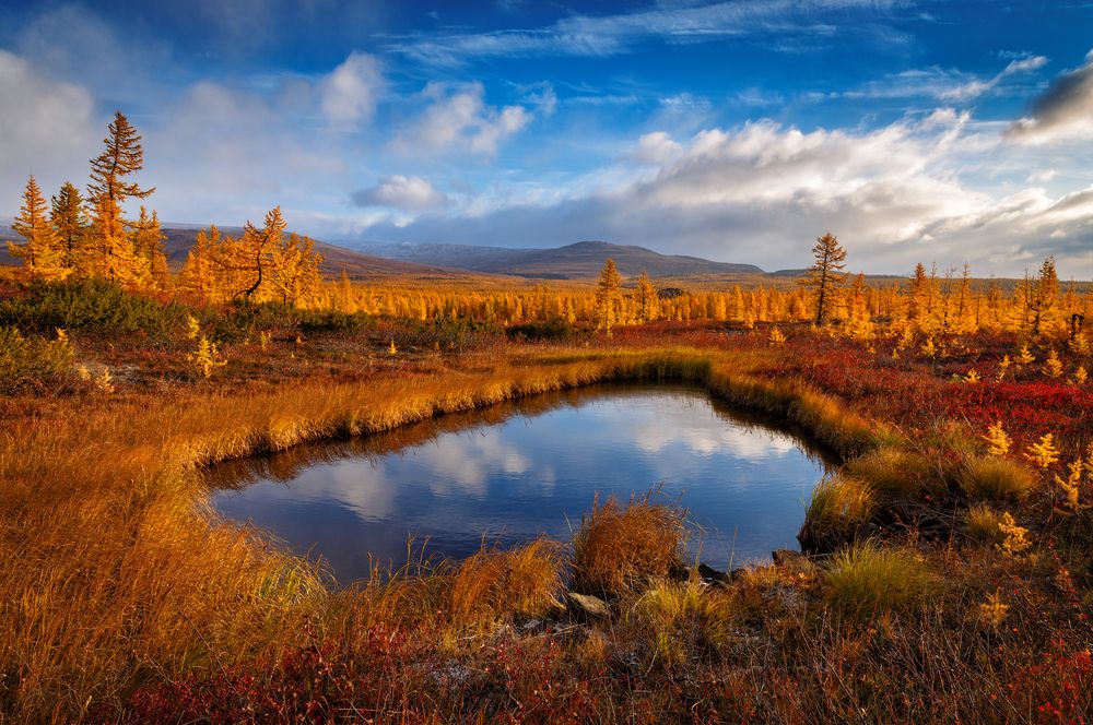 Photograph by Евгений Кужилев
