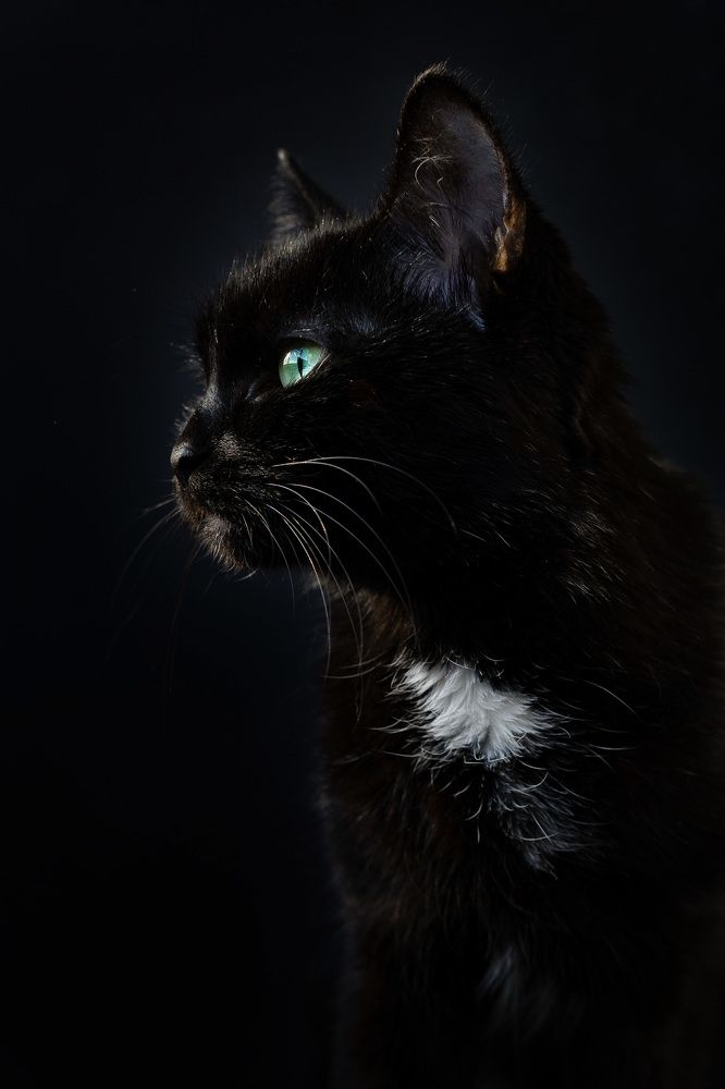 Photograph by Наталья Горохова