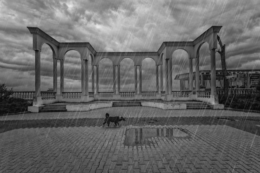 Photograph by Владимир Гамаюнов