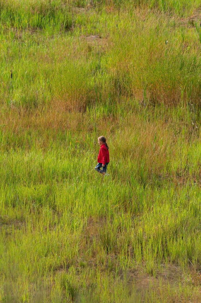 Photograph by Алексей Чеботарев