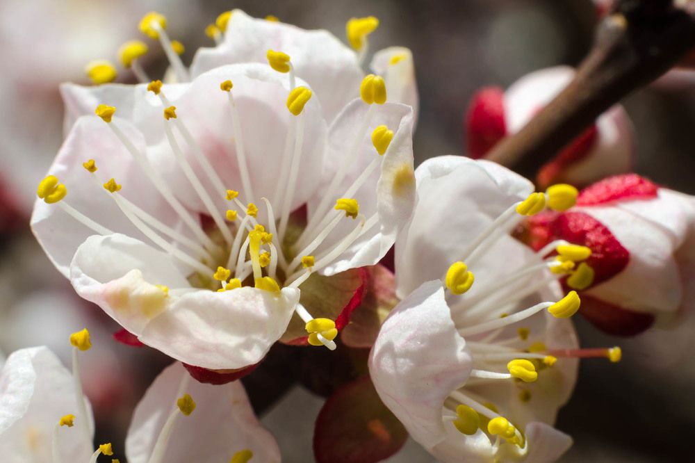 Фотография автора Гера Восьмая