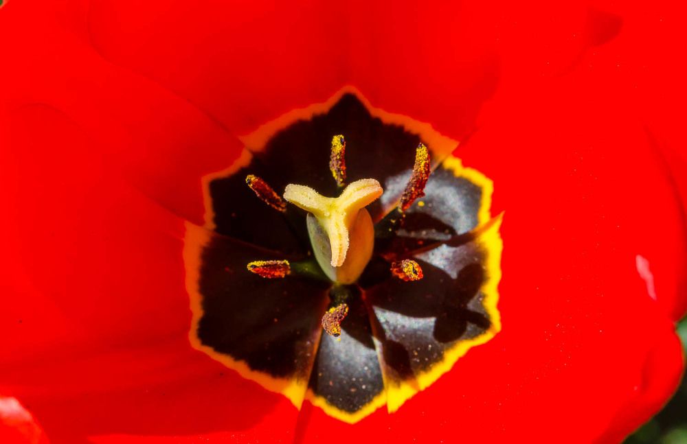 Фотография автора Гера Восьмая