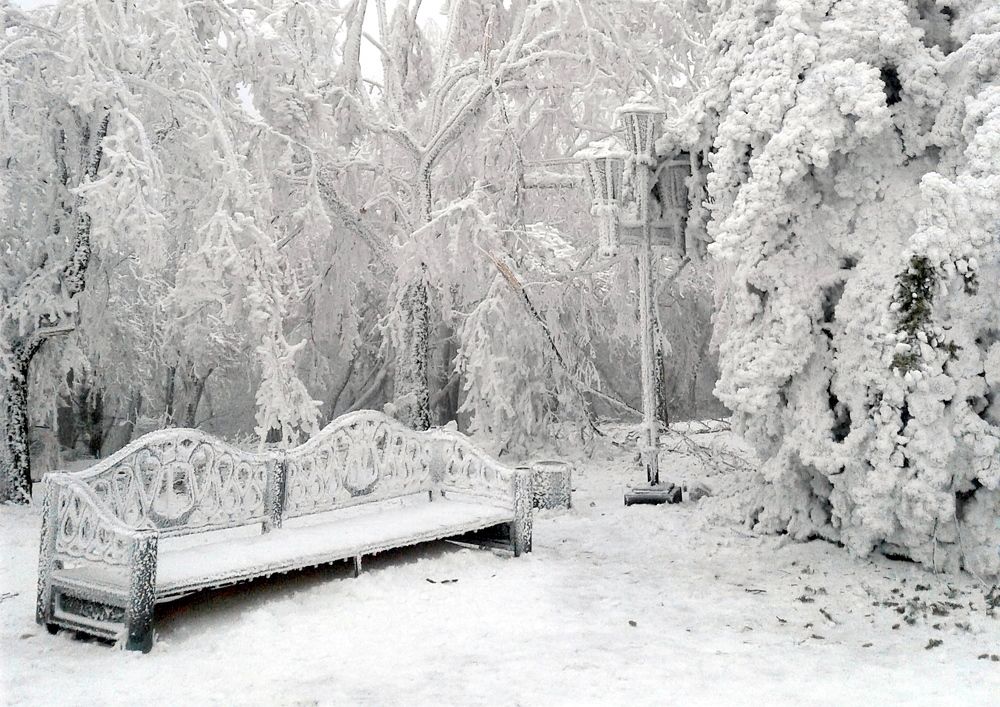 Photograph by Елена Должикова