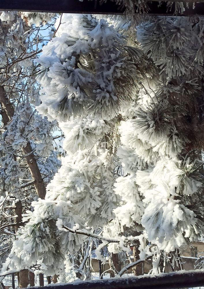 Photograph by Елена Должикова