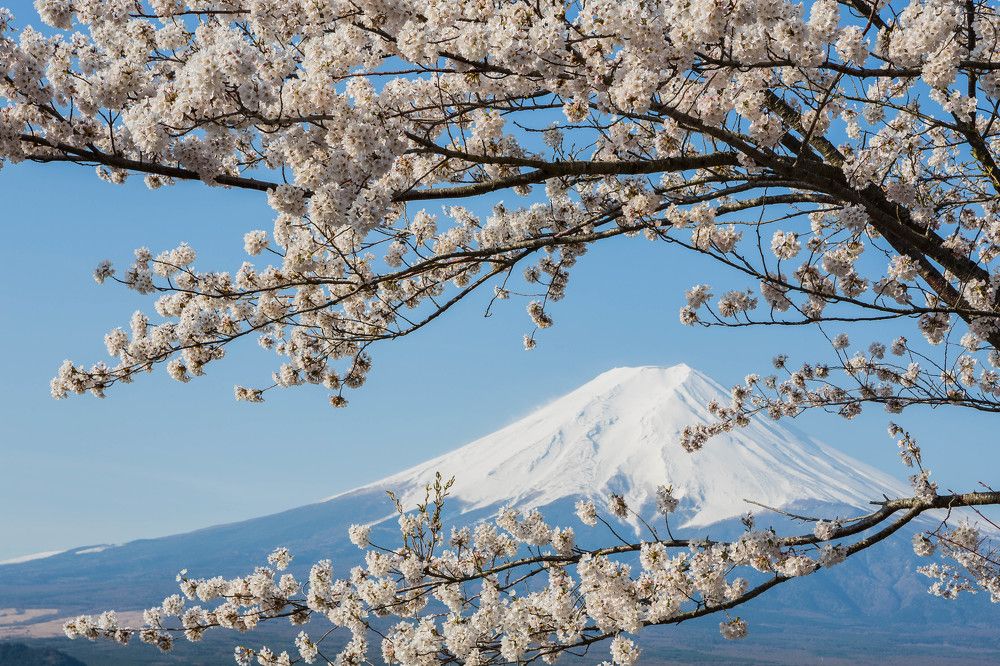 Photograph by Марина Маликова