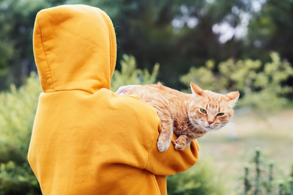 Photograph by Наталья Микулич