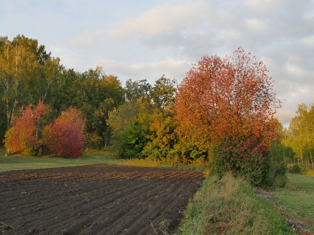 Photograph by Александр Кизим