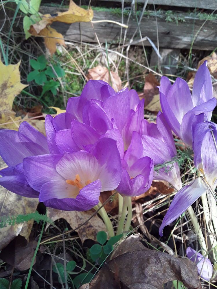 Photo #9575511