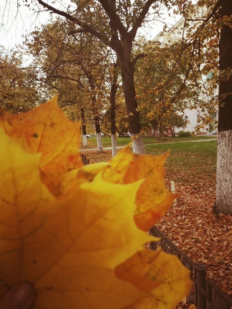 Фотография автора Татьяна Савранчук