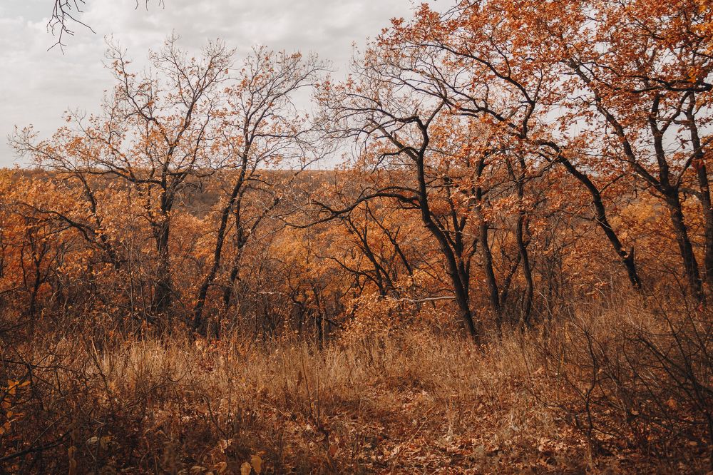 Photograph by Анастасия Ивахнова