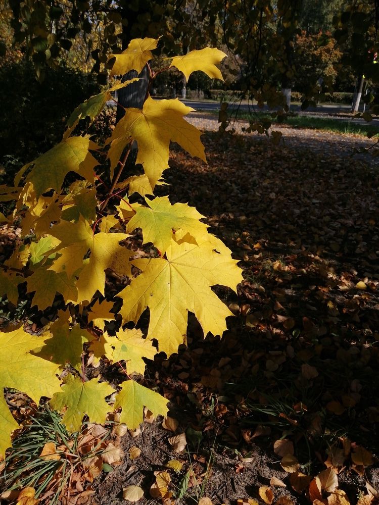 Фотография автора Татьяна Савранчук