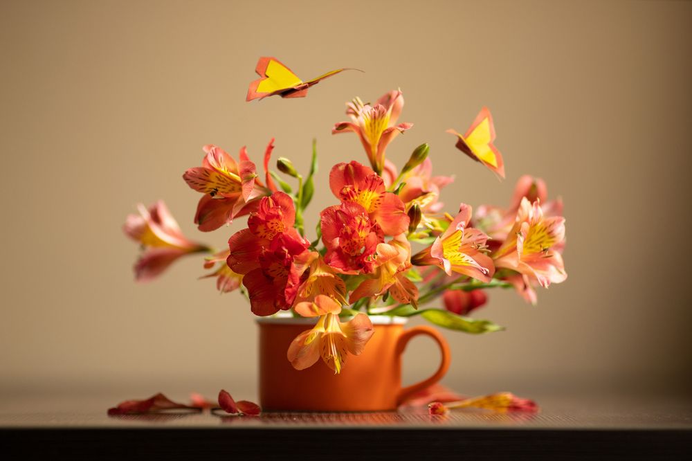 Photograph by Irina Kartoshova