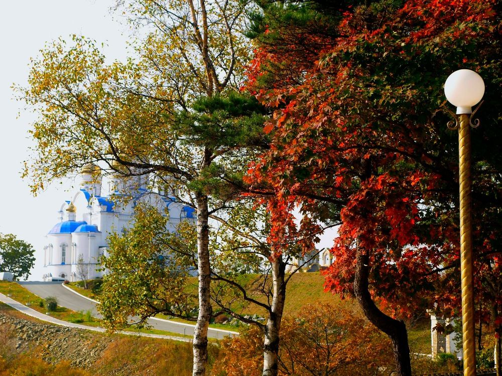 Photograph by Natalia Kopeva