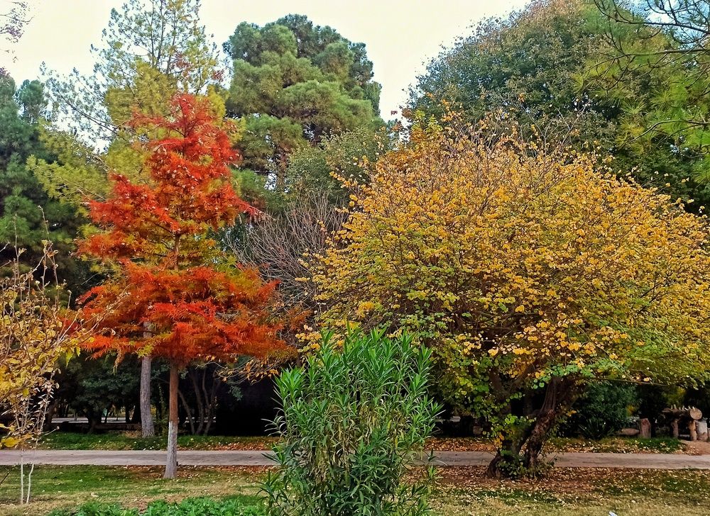 Photograph by Sodabe Arabzade