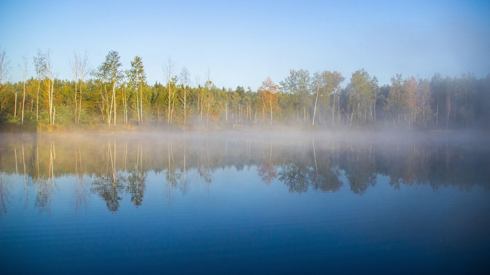 Photograph by Алексей Борисов