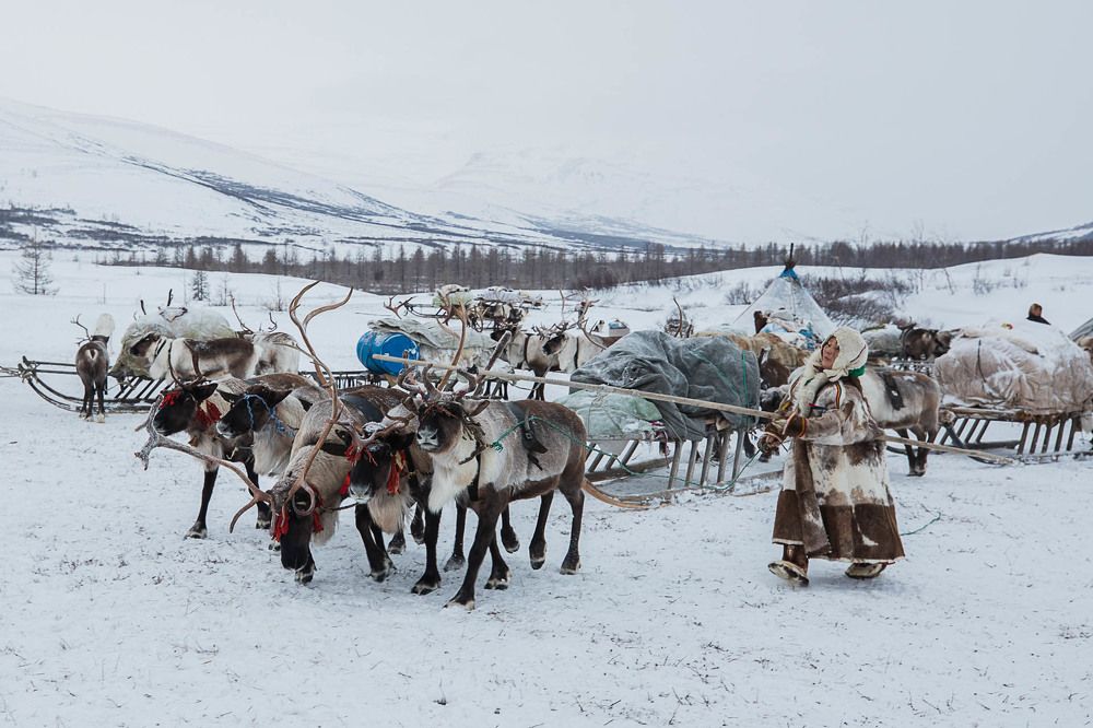 Photograph by Марина Маликова