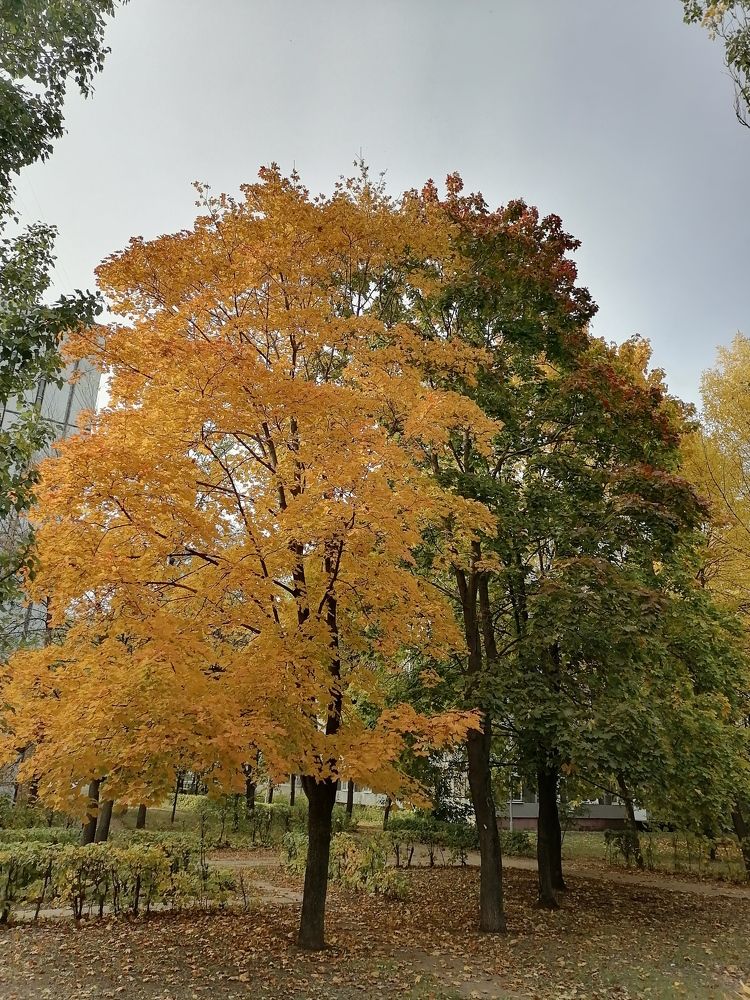 Photograph by Любовь Панфилова