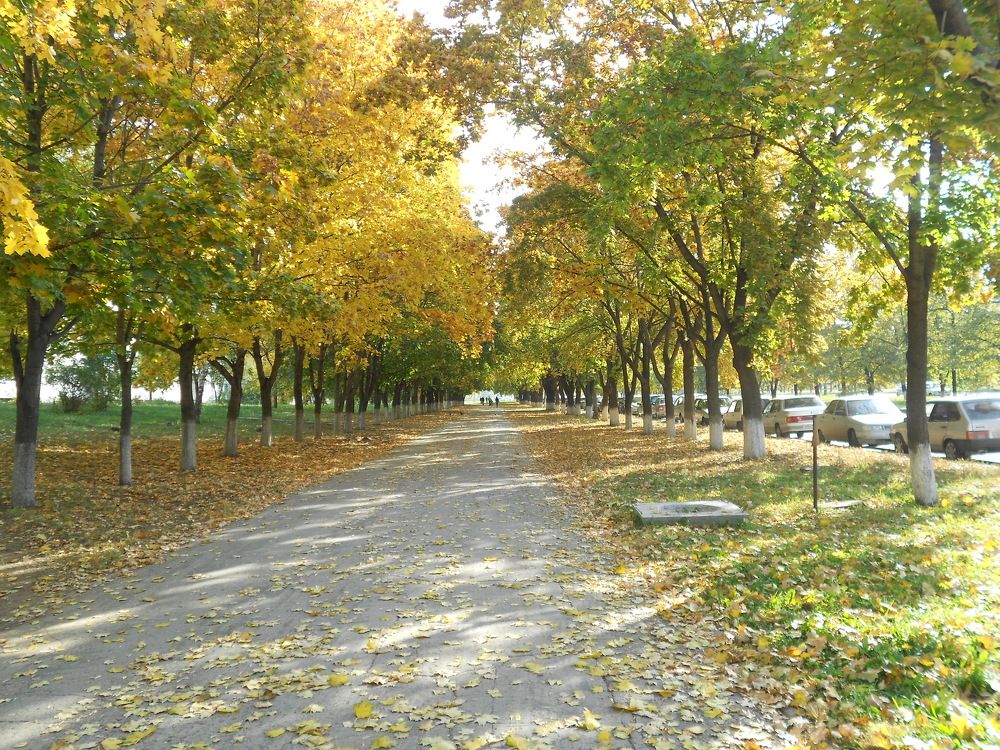 Photograph by Любовь Панфилова