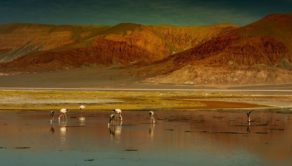 Photograph by jorge arnoten