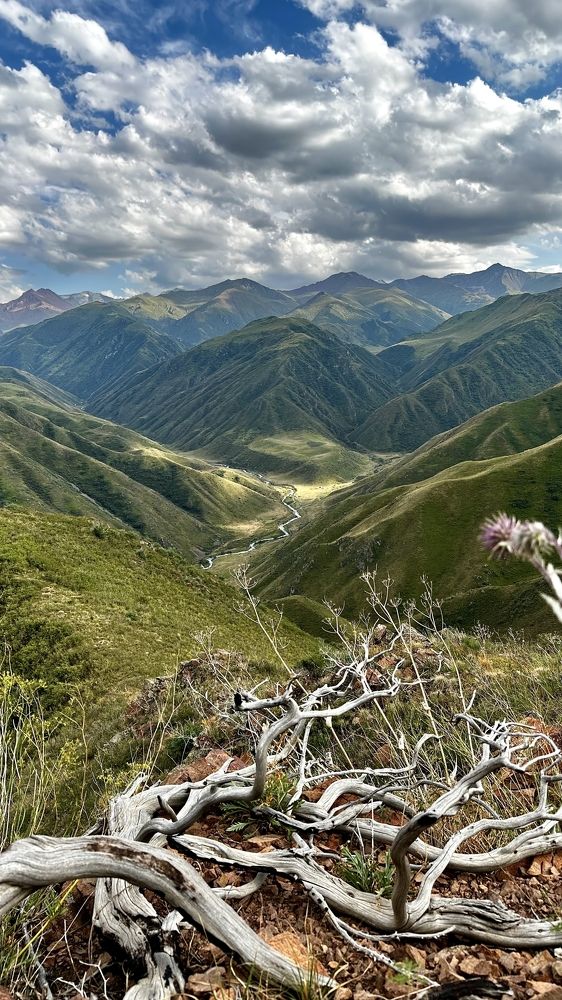 Завораживающие пейзажи ущелья Узын Каргалы (Казахстан)