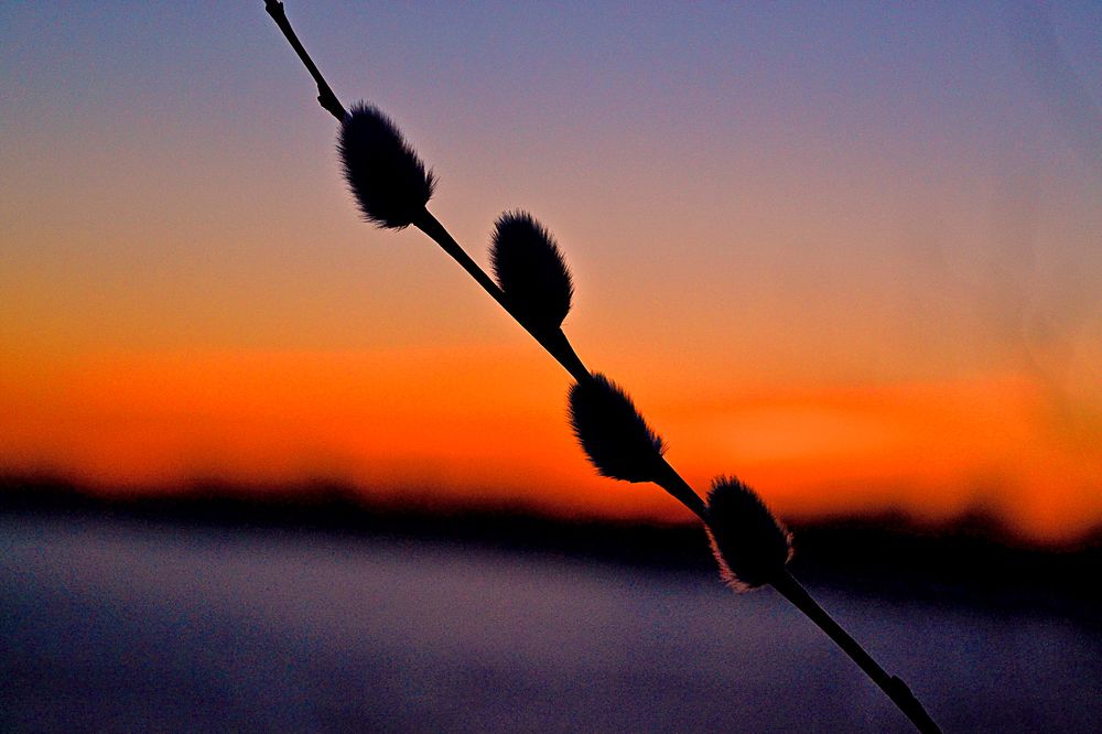 Photograph by Cергей Землянский