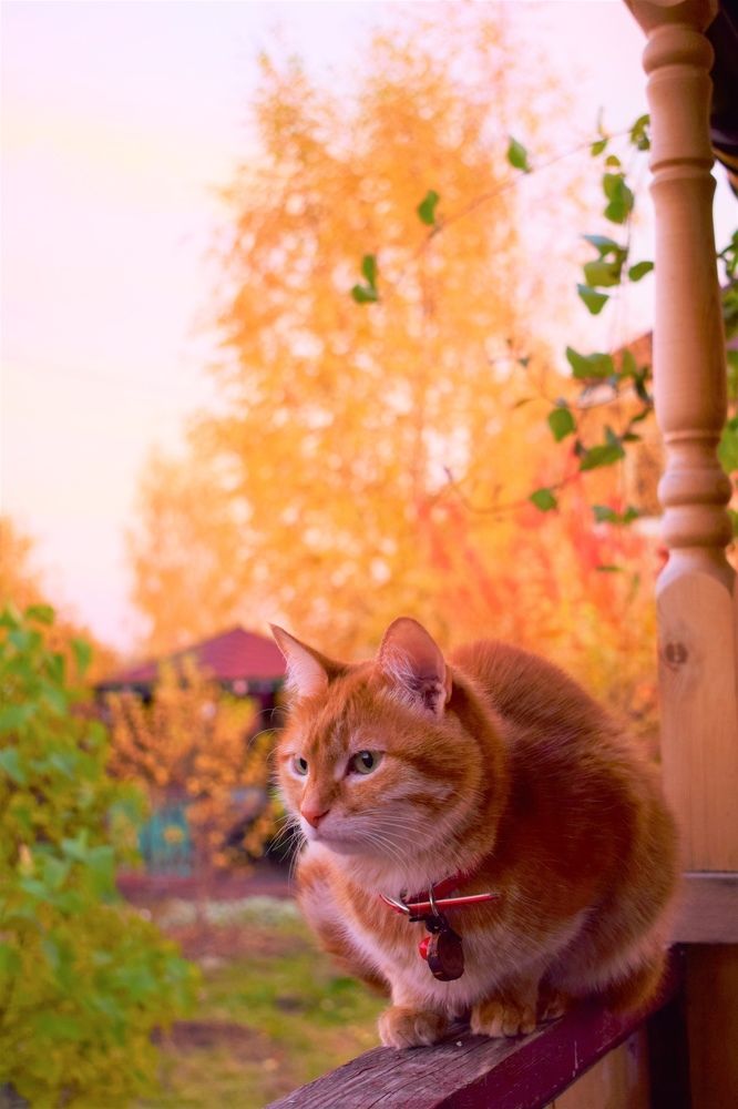 Photograph by Лебедев Олег