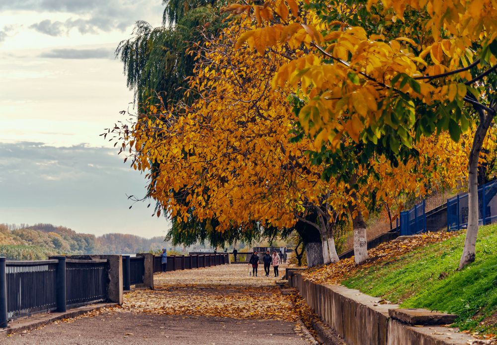 Photograph by Светлана Фокша