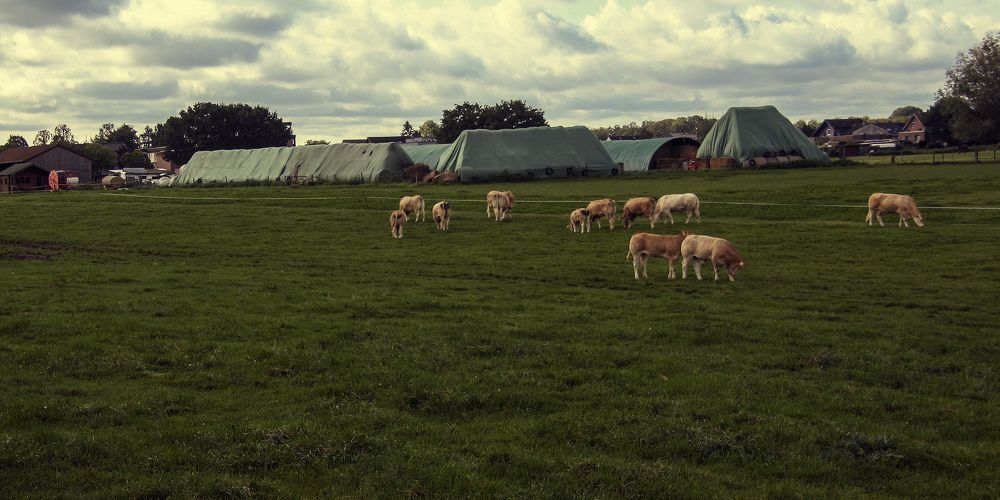 Фотография автора Александр