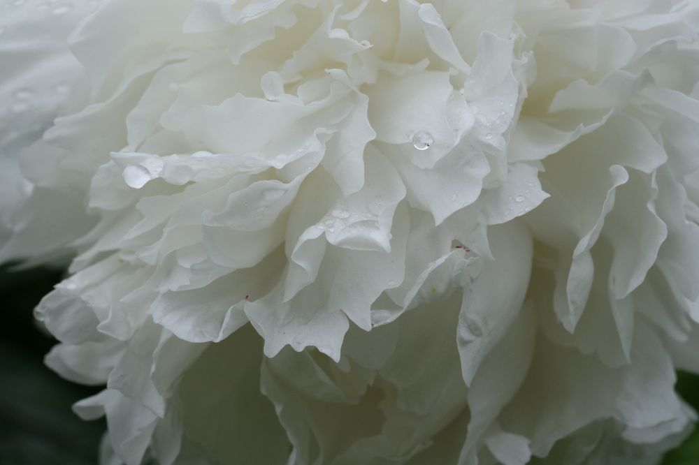 Бальное одеяние