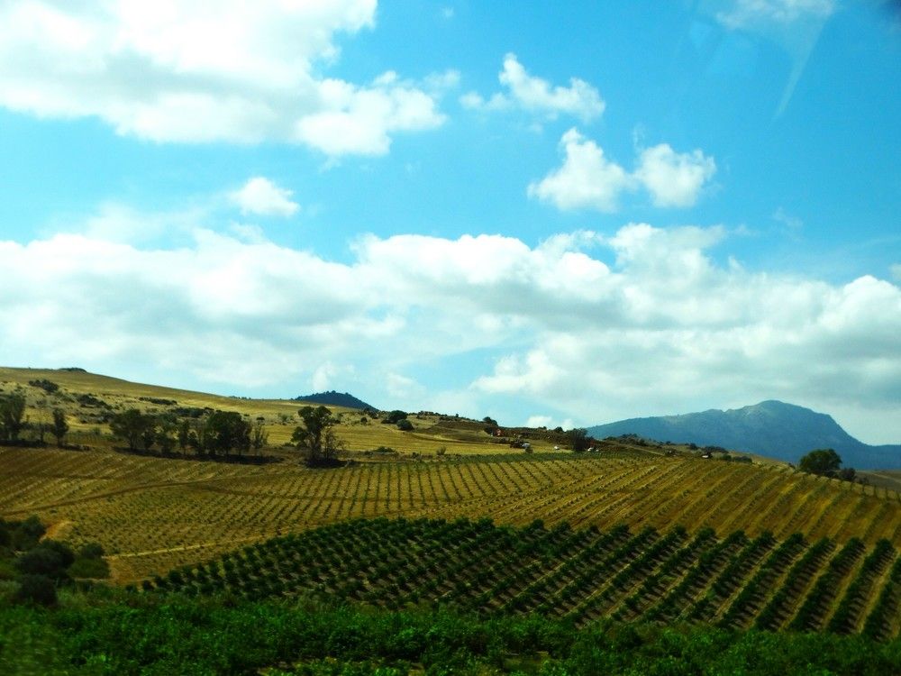 Photograph by ILONA OTRUTSKAYA