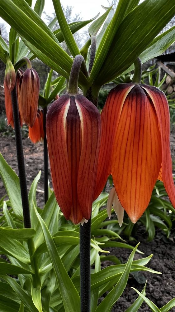 Фотография автора Юлия Недосекина