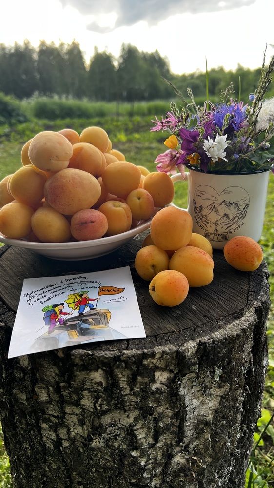 Фотография автора Юлия Недосекина