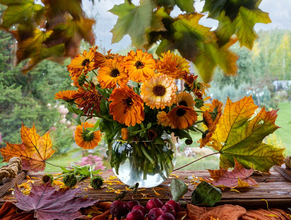 Photograph by NADEZHDA PELYMSKAIA