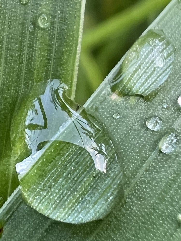 Фотография автора Евгения Булавина