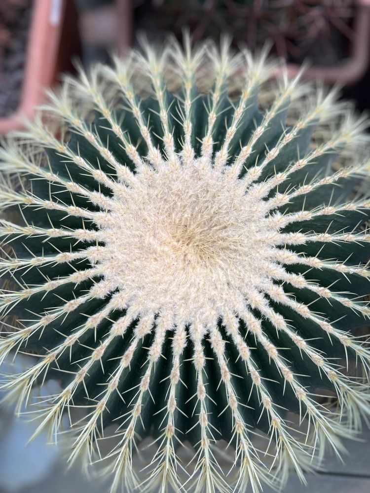 Фотография автора Евгения Булавина