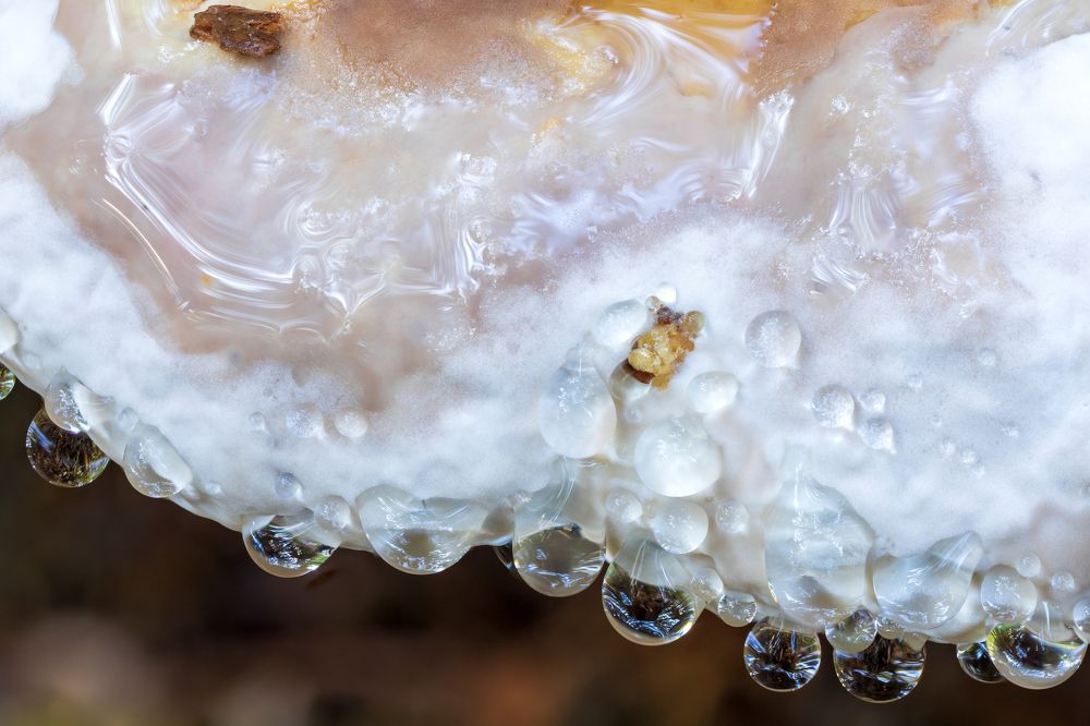 Photograph by Евгения Севрюкова