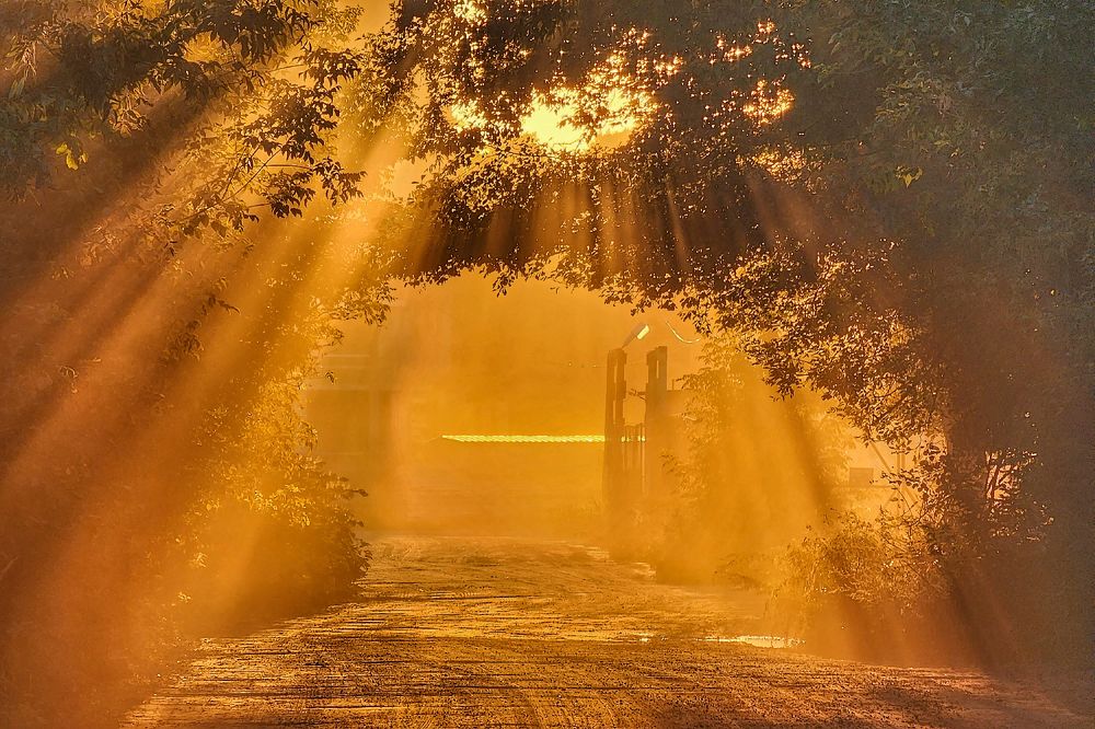 Photograph by Михаил Рассказ