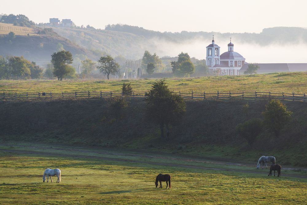 Photograph by Дмитрий Новоселов