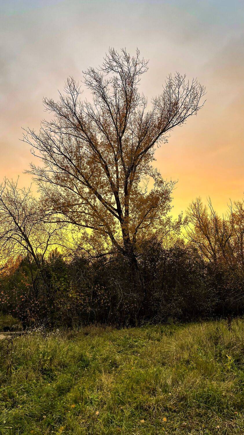 Photo #9575835