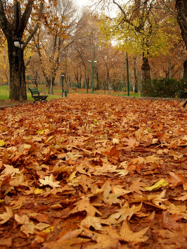 Photograph by Abdolreza Aleagha