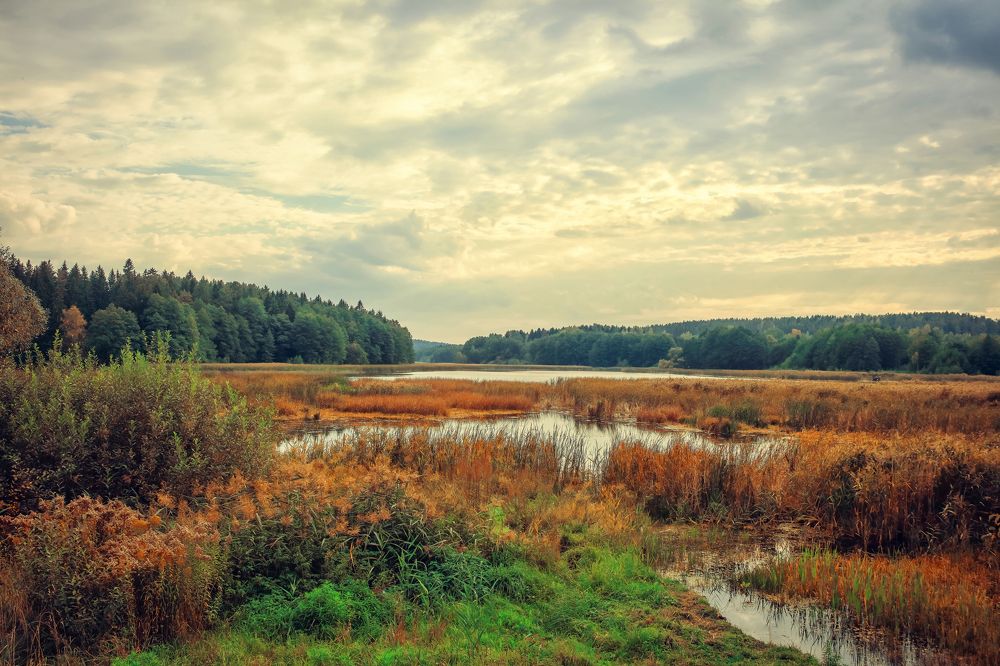 Фотография автора Игорь Ефремычев