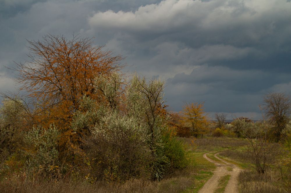 Photograph by Ариадна Подмогильная