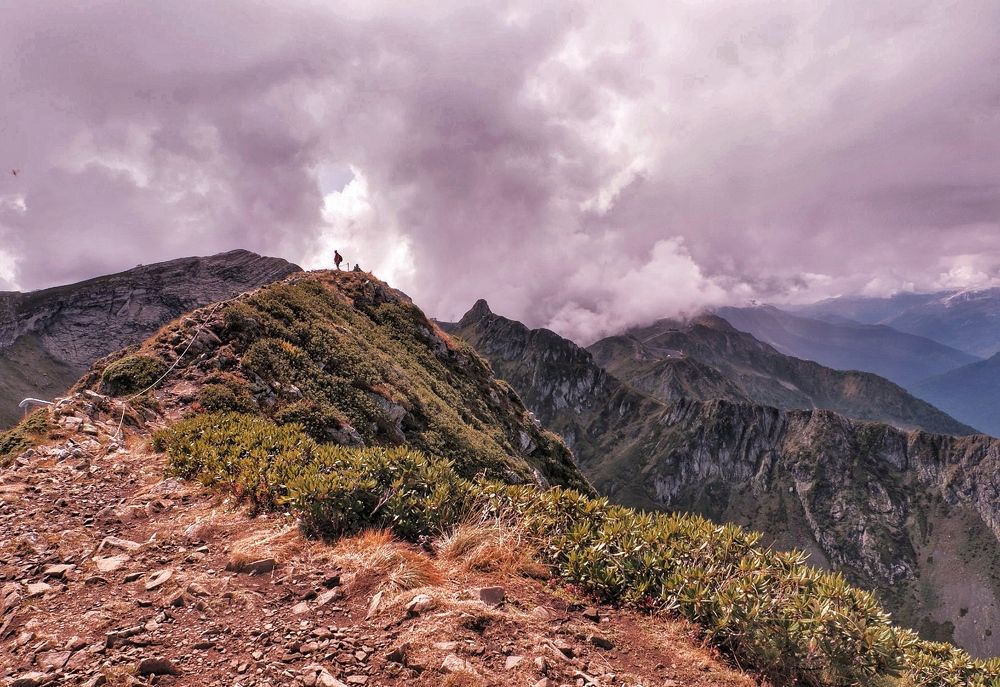 Фотография автора Виктория Шаманова