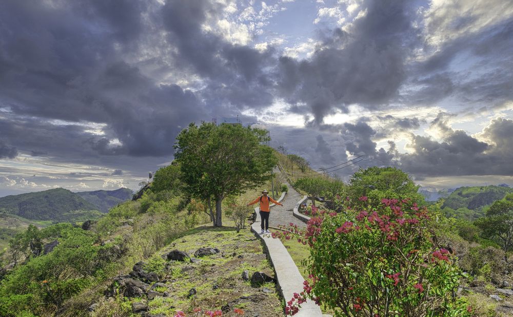 The Little Orange Man