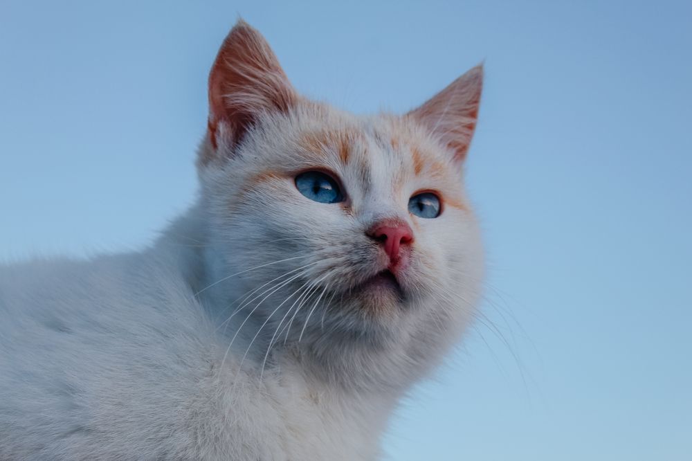 Photograph by Диана Козел