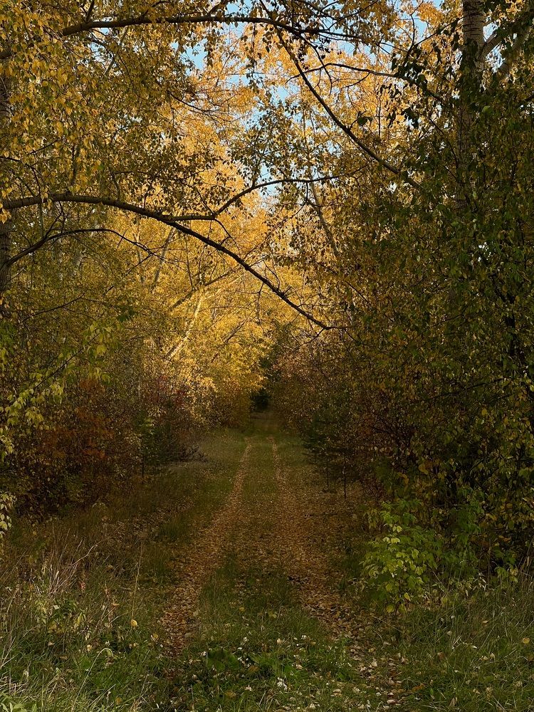 Photograph by Елена Змейкова